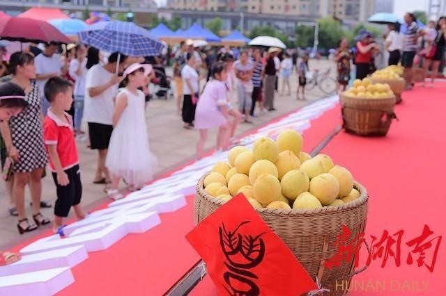 洪江市禹甜科技有限公司,黔陽瞐農(nóng)產(chǎn)品的批發(fā)零售 洪江市禹甜科技有限公司,黔陽瞐農(nóng)產(chǎn)品的批發(fā)零售