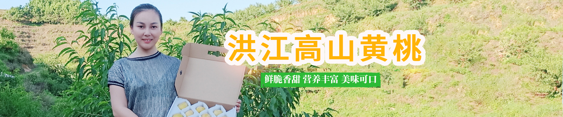 洪江市禹甜科技有限公司_黔陽瞐_農產(chǎn)品的批發(fā)零售
